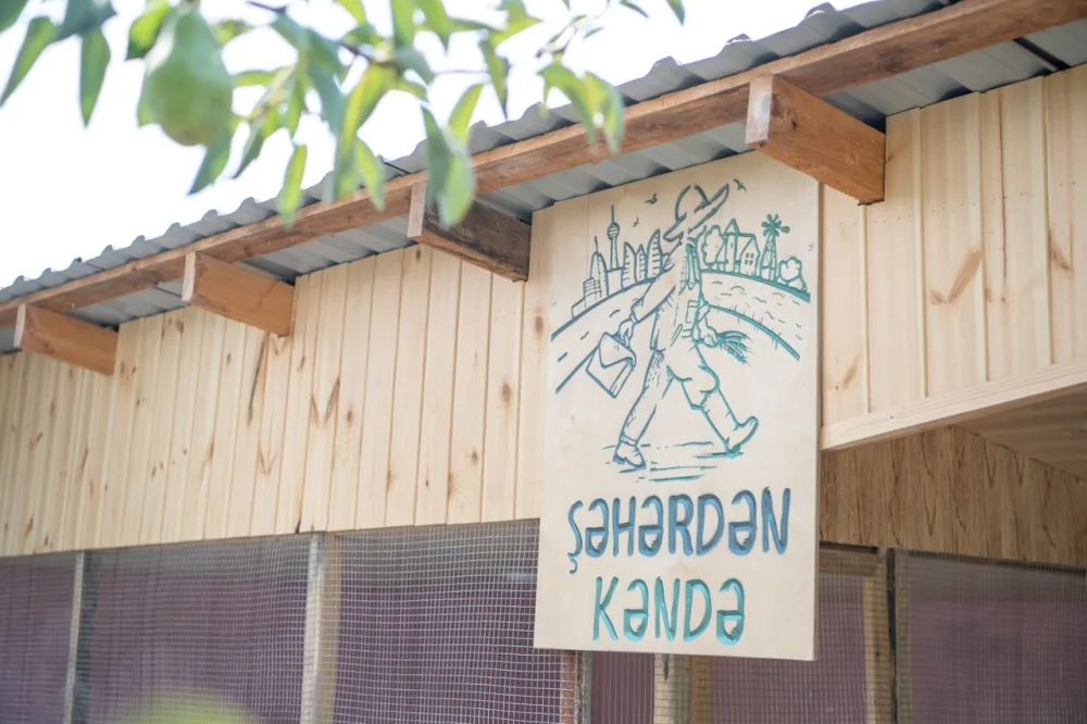 “Şəhərdən Kəndə” layihəsi çərçivəsində dəstək tədbirləri davam edir - Fotolar