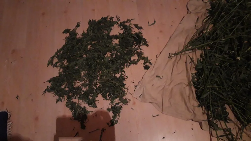 Zaqatala sakinlərindən 10 kq narkotik götürüldü