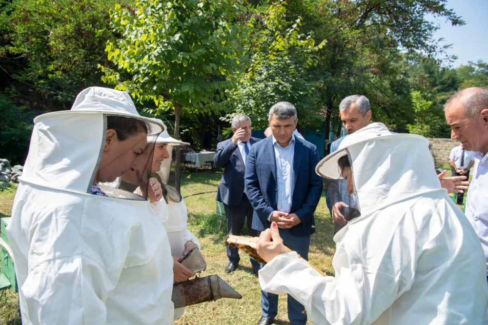 Nazir Zaqatalada məhsul yığımını izlədi - FOTO