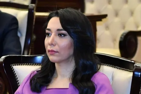 “Ermənistan 29 uşaq, 98 qadın və 112 ahılı girov götürüb” - Ombudsman Səbinə Əliyeva