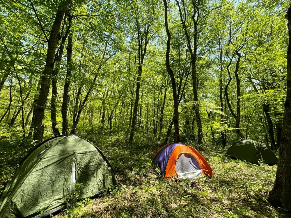 Altıağac Milli Parkında “açıq qapı” günü keçiriləcək
