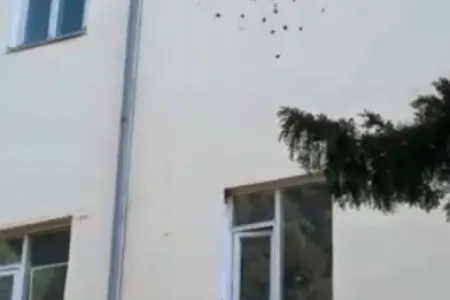Tələbə adı qazandı, babasını ölümdən xilas etdi - Video