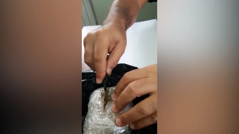 DİN Sabunçuda əməliyyat keçirdi, - 16 nəfər saxlanıldı - VİDEO