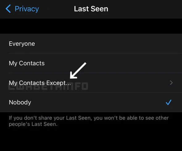 “WhatsApp”dan çoxdan gözlənilən funksiya - Foto