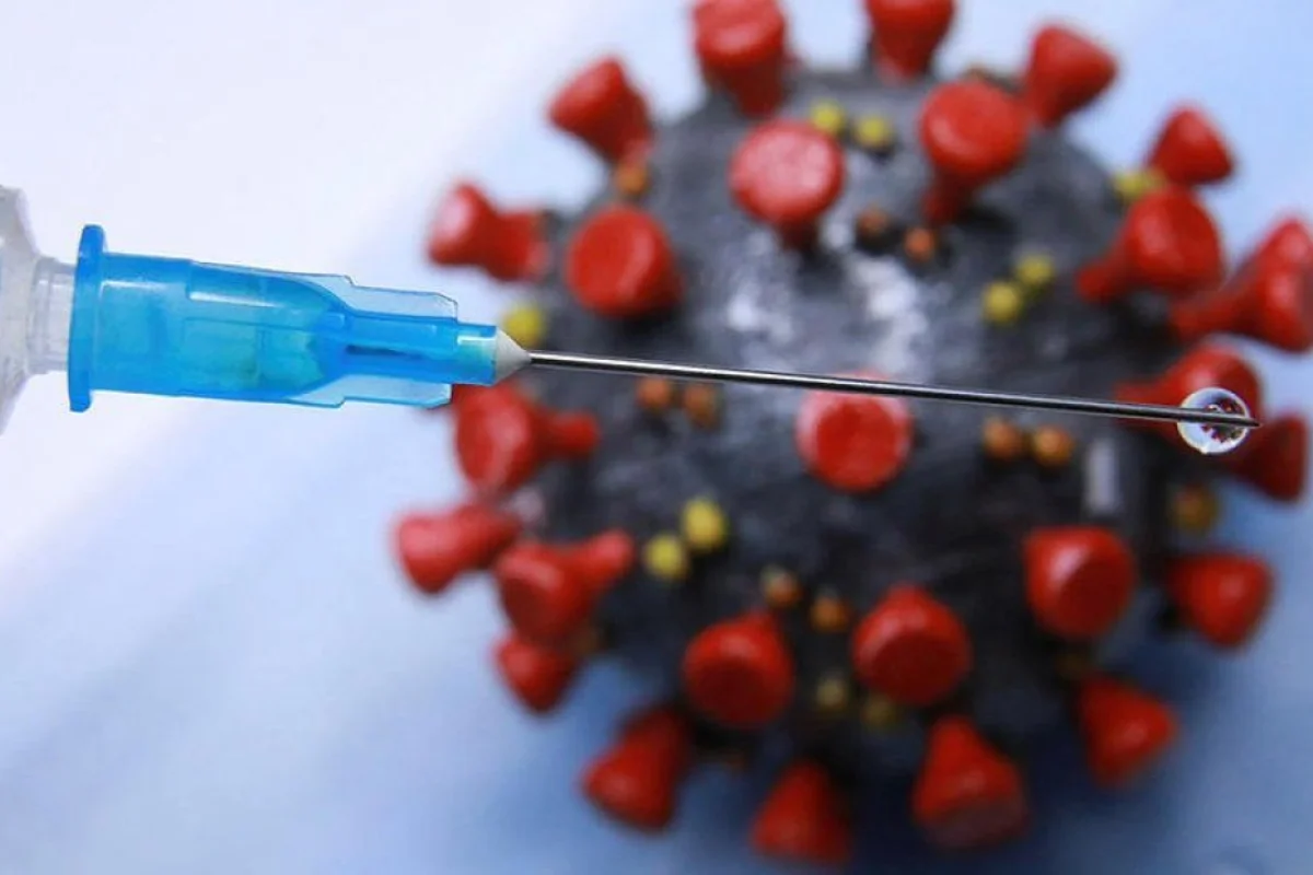 Qripə qarşı peyvənd koronavirusdan qoruyur?