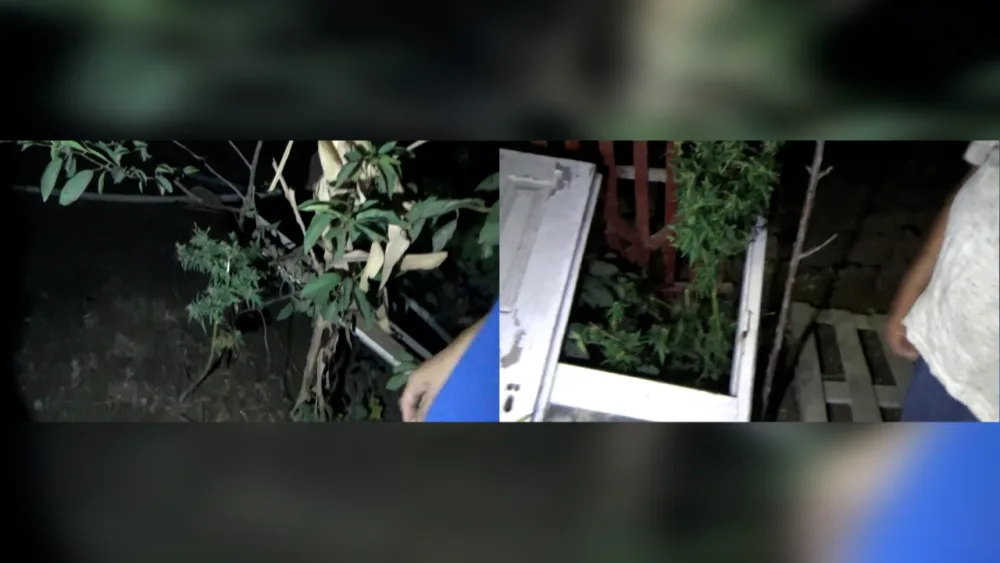 13 nəfərdən 27 kiloqram narkotik götürüldü - FOTO/VIDEO