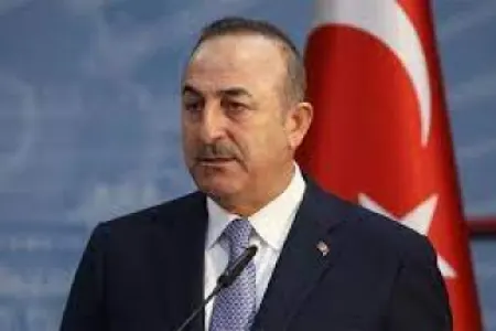 "Ermənistan şərtlərə əməl etsə, Azərbaycan və Türkiyə sərhədləri aça bilər" - ÇAVUŞOĞLU