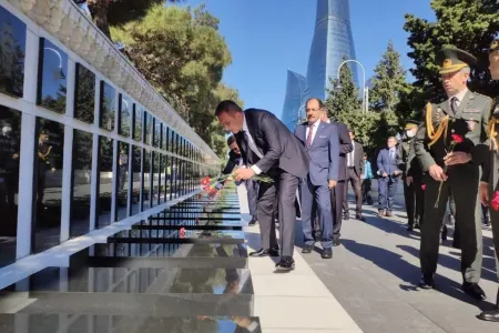 Türkiyəli nazir müavini Şəhidlər Xiyabanında oldu - FOTO