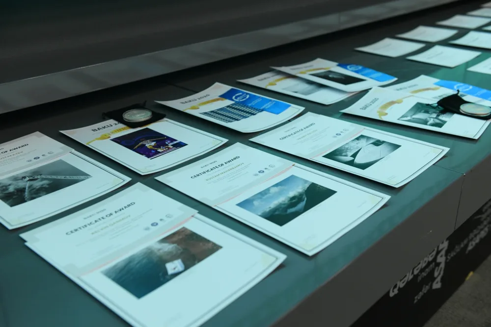 News24.az-ın əməkdaşı mükafata layiq görüldü - FOTOLAR - VİDEO