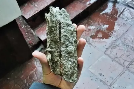 Sabunçuda 15 yaşlı oğlan ailəsindən narkotik tələb edən atasını öldürdü