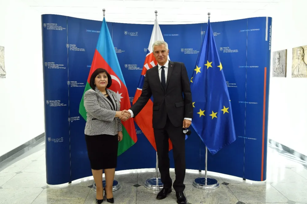 Sahibə Qafarova Slovakiyanın XİN başçısı ilə görüşdü