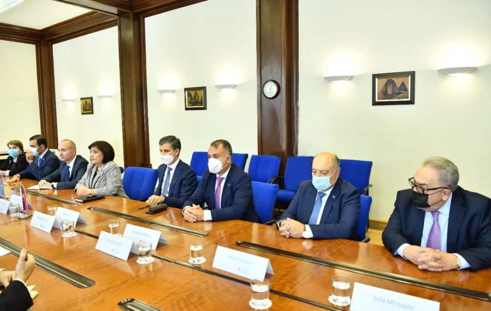 Sahibə Qafarova Slovakiyanın XİN başçısı ilə görüşdü