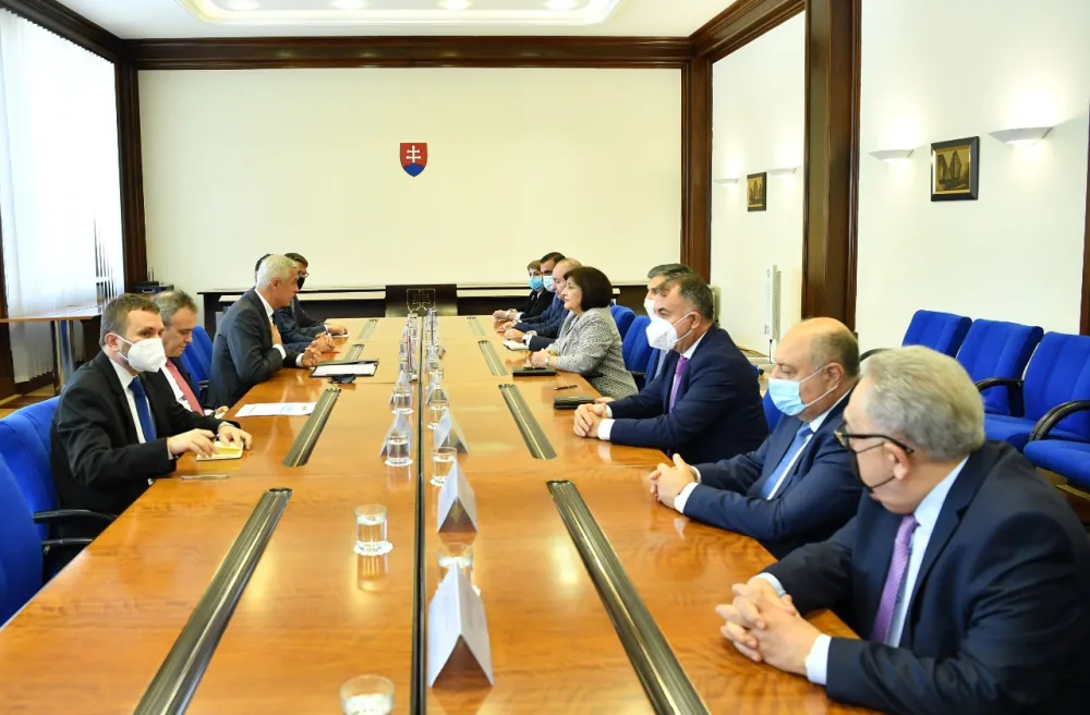 Sahibə Qafarova Slovakiyanın XİN başçısı ilə görüşdü