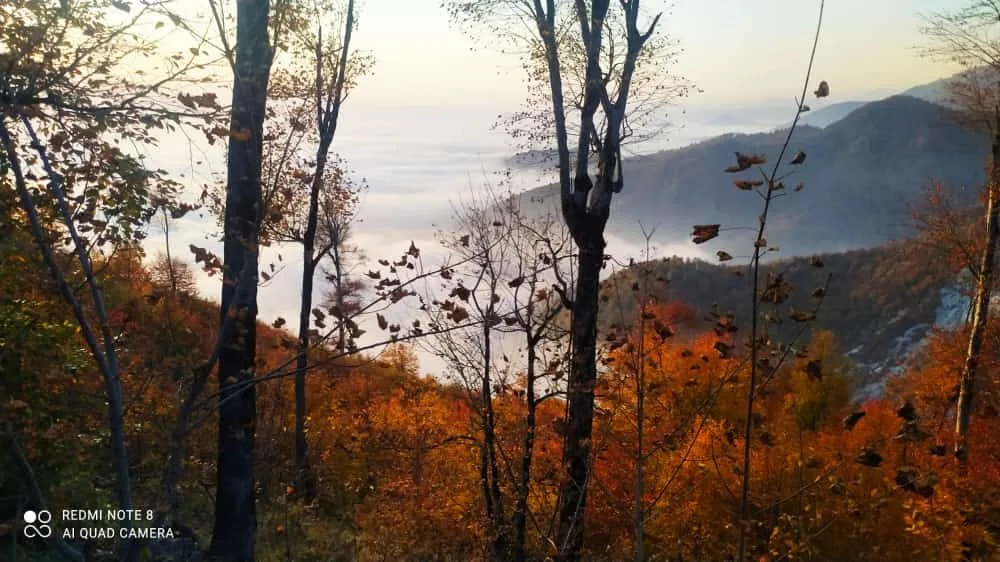 Payız gəldi, uçdu getdi quşlar - Fotolar