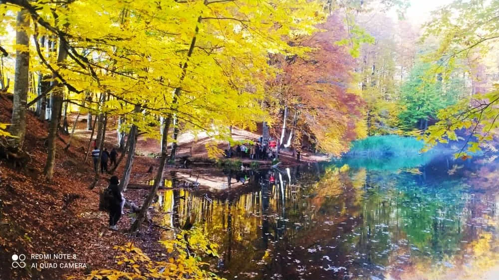 Payız gəldi, uçdu getdi quşlar - Fotolar
