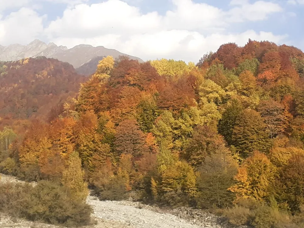 Payız gəldi, uçdu getdi quşlar - Fotolar