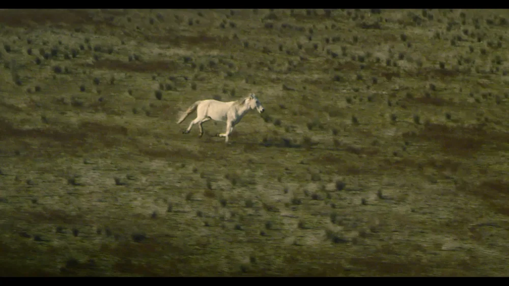 “Sonuncu” filmi mükafata layiq görüldü- - FOTO/ViDEO