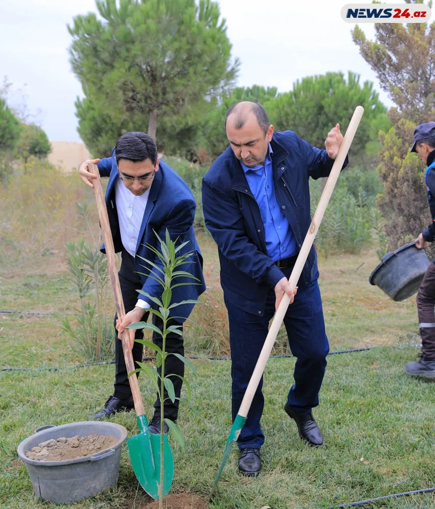 Burada 700 min ağac yetişdirilir, Xəzərin suyunu içmək olur - FOTO - VİDEO