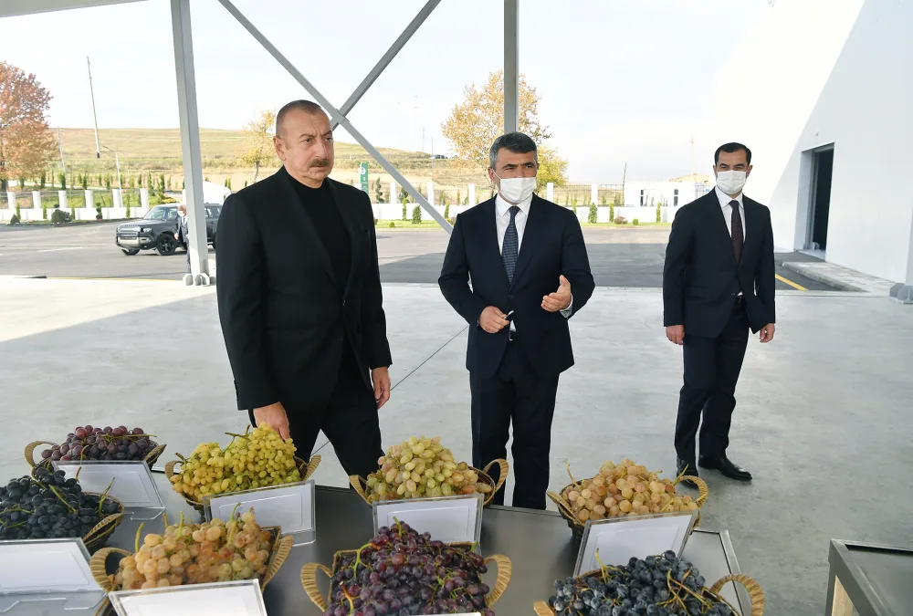 Prezident və birinci xanım Şamaxıda - FOTOLAR