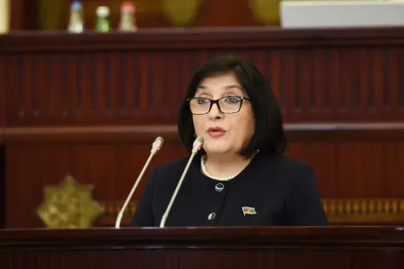 Sahibə Qafarova: "Ermənistan təxribatlarını davam etdirir"