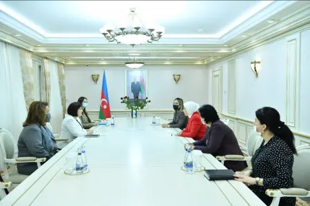 Sahibə Qafarova TBMM-in qadın deputatları ilə görüşdü -