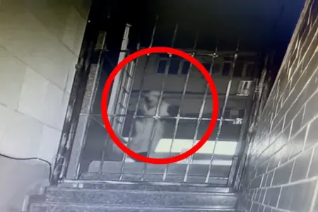 Bakıda "Milliön”dən 12 min manat oğurlandı - VİDEO