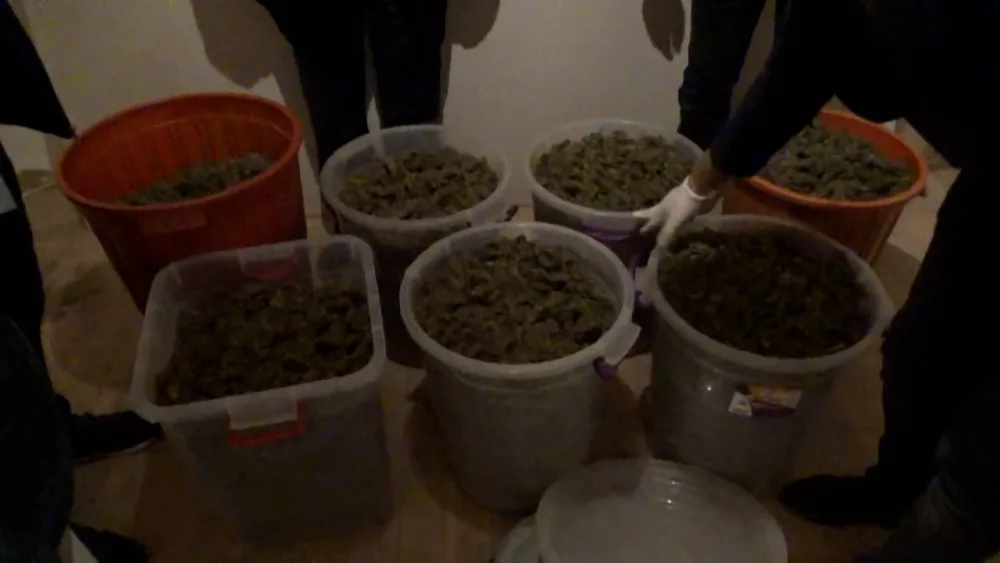 Polis əməliyyat keçirib, 47 kq narkotik götürüldü - VİDEO/FOTO