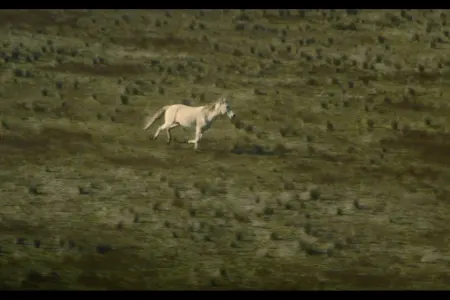 Azərbaycan filmi iki mükafata layiq görülüb - FOTO