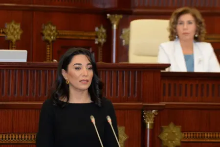 "Ermənistanın beynəlxalq məhkəmənin qərarını yerinə yetirməsi üçün tədbir görüləcəyinə inanırıq"
