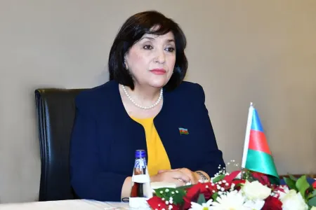 Sahibə Qafarova Böyük Millət Məclisinin sədri ilə görüşdü - FOTO