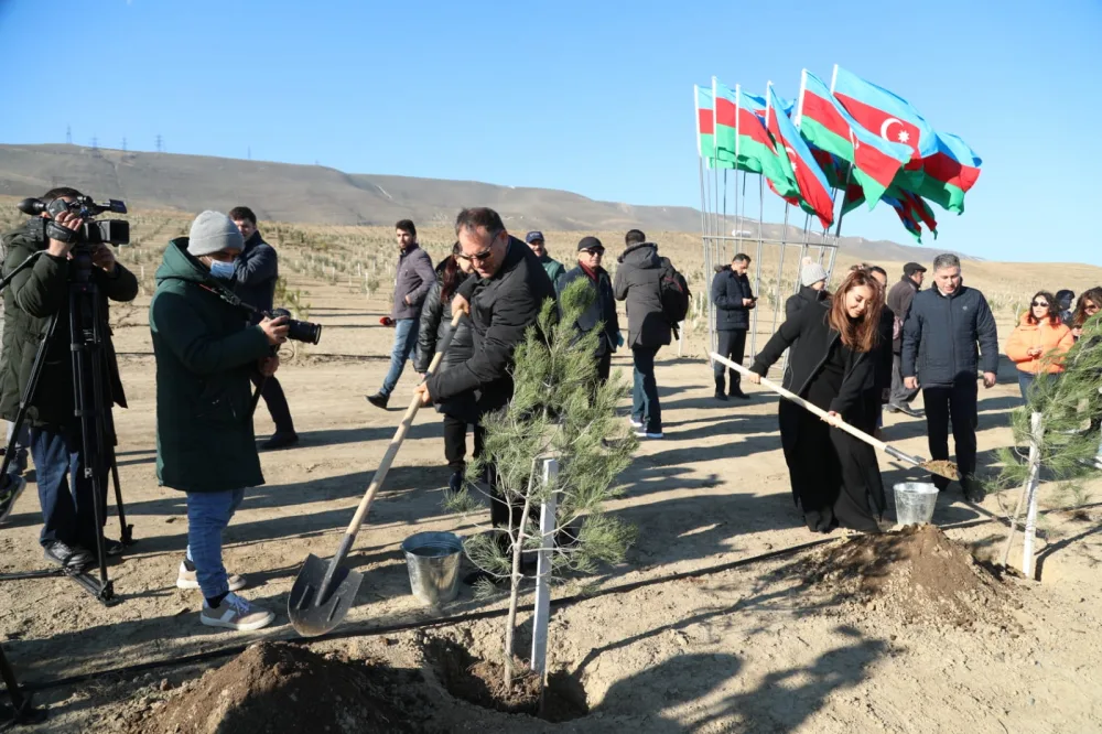 Prezidentin ad günü münasibətilə ağacəkmə aksiyası keçirildi - FOTO/VİDEO__NEWL____NEWL__