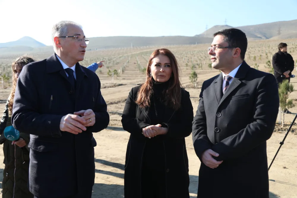 Prezidentin ad günü münasibətilə ağacəkmə aksiyası keçirildi - FOTO/VİDEO__NEWL____NEWL__