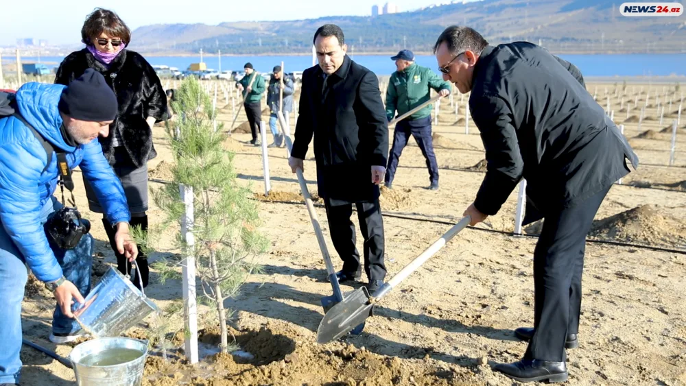 Prezidentin ad günü münasibətilə ağacəkmə aksiyası keçirildi - FOTO/VİDEO__NEWL____NEWL__