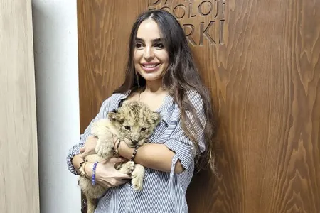 Bakı Zooparkında şir balası dünyaya gəldi - Foto