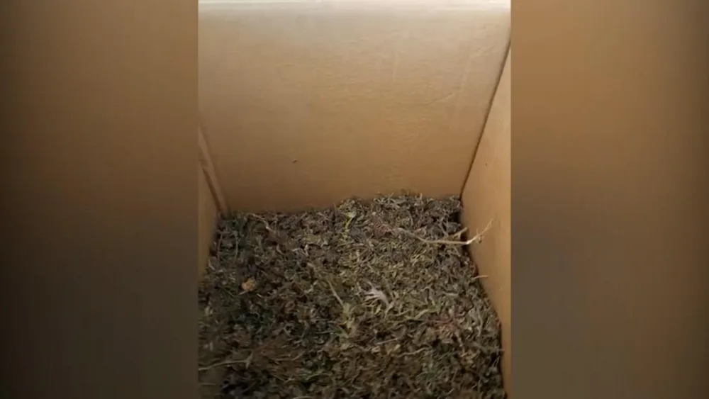 Polis əməliyyat keçirdi: - Saxlanılanlar var - VİDEO/FOTO
