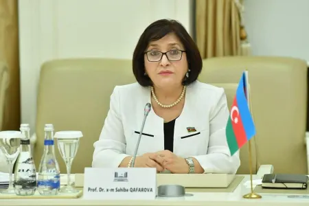 "Azərbaycan-Türkiyə qardaşlığı sarsılmazdır, əbədidir!" - Sahibə Qafarova