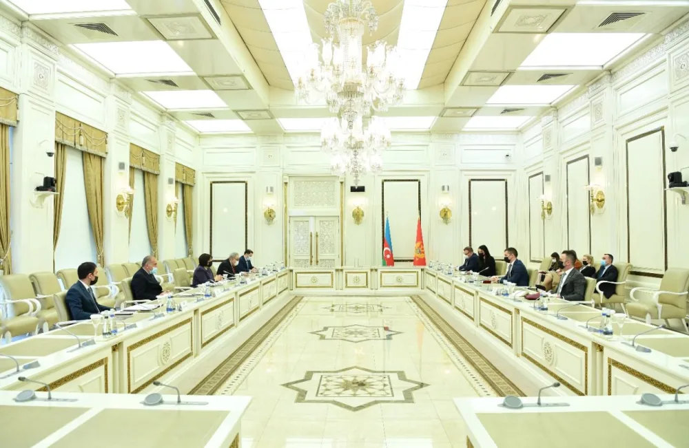 Sahibə Qafarova Monteneqrolu həmkarı ilə görüşdü - Foto