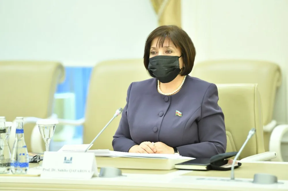 Sahibə Qafarova Monteneqrolu həmkarı ilə görüşdü - Foto
