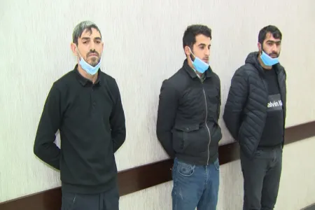 Üç rayonda xırdabuynuzlu heyvan oğurlayan şəxslər tutuldu - Video