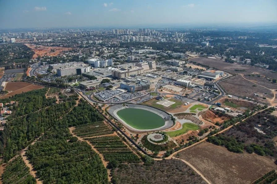 “Müharibənin fiziki və psixoloji travması sonsuzluğu artıra bilər” - İsrailli professor