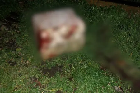 Bakıda ahıl kişini daşla vurub, 540 manatını oğurladılar - VİDEO/FOTO