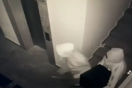 İçərisində 63 min manat olan seyfi oğurladılar - VİDEO/FOTO