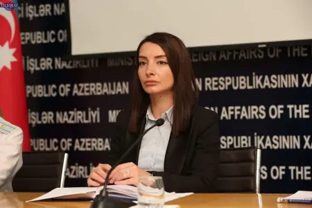 Leyla Abdullayeva Ermənistan xarici işlər nazirinə cavab verdi