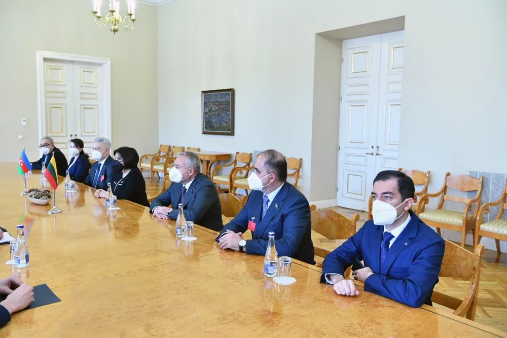 Sahibə Qafarova Litva prezidenti ilə görüşdü - FOTO