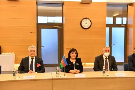 Sahibə Qafarova Litvanın xarici işlər naziri ilə görüşdü - FOTO