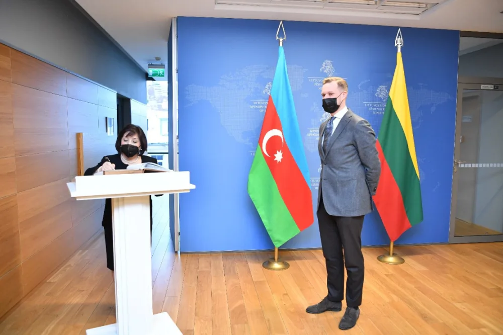 Sahibə Qafarova Litvanın xarici işlər naziri ilə görüşdü - FOTO