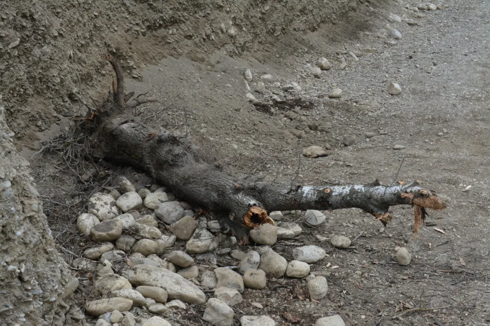 Gələcəkdə ciddi su çatışmazlığı ilə üz-üzə qala bilərik - SOS! - Fotolar