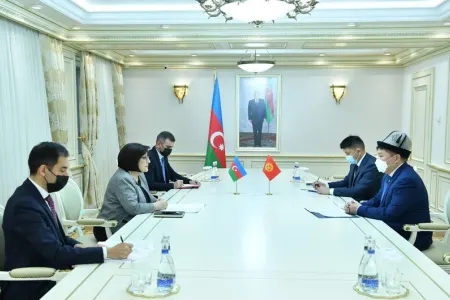 Milli Məclisin sədri Qırğızıstan səfiri ilə görüşdü