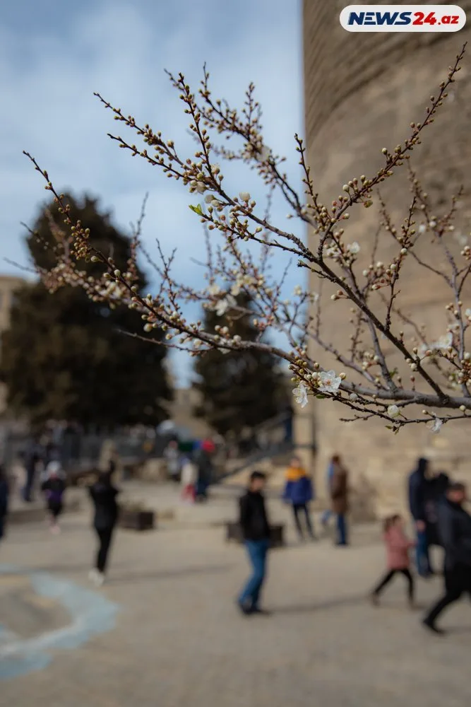 Bakının soyuq baharı - FOTOLAR