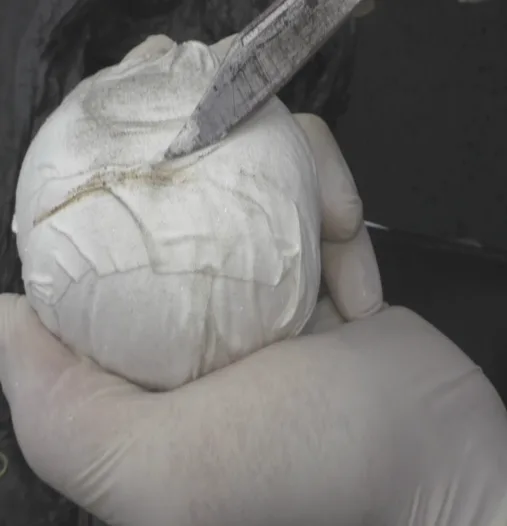 Zaqatalada narkotik satan xarici ölkə vətəndaşı həbs edildi